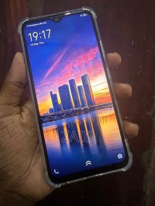 Vivo Y17 8GB 256GB (Used)