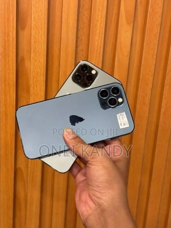 Apple iPhone 12 Pro 256GB (Used)