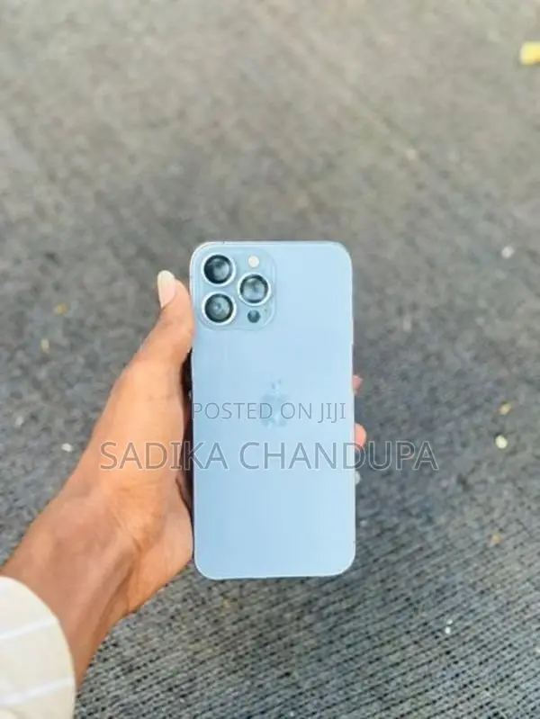 Apple iPhone 13 Pro Max (Used)