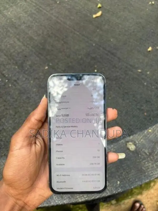 Apple iPhone 13 Pro Max (Used)