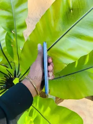 Apple iPhone 11 (Used)