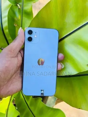 Apple iPhone 11 (Used)