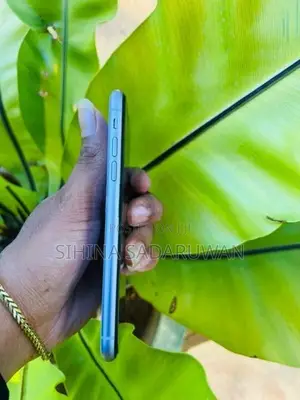 Apple iPhone 11 (Used)