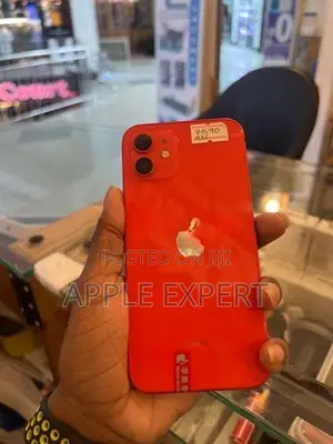 Apple iPhone 12 (Used)
