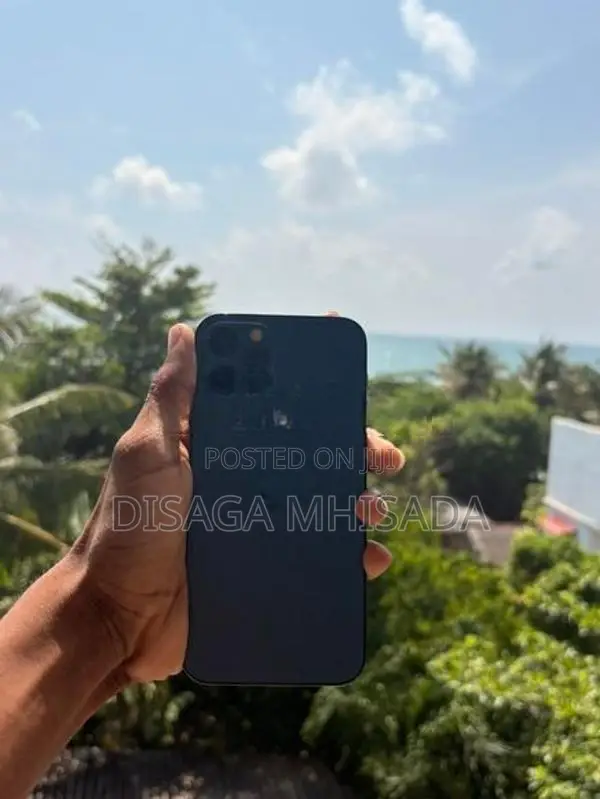 Apple iPhone 12 Pro (Used)