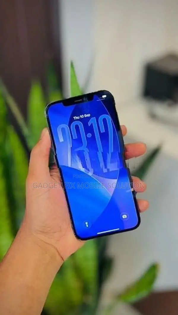 Apple iPhone 12 Pro Max (Used)