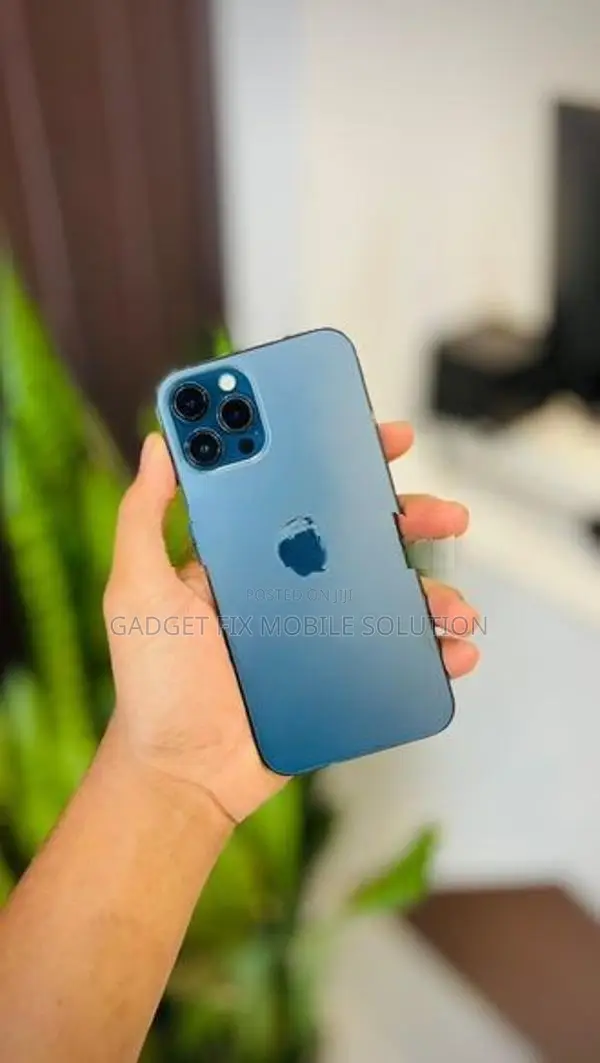 Apple iPhone 12 Pro Max (Used)
