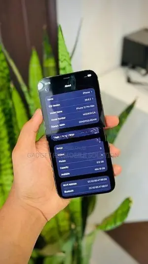 Apple iPhone 12 Pro Max (Used)