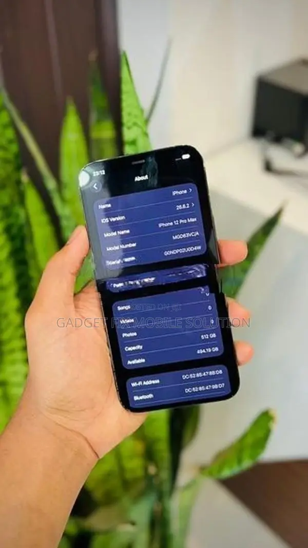 Apple iPhone 12 Pro Max (Used)