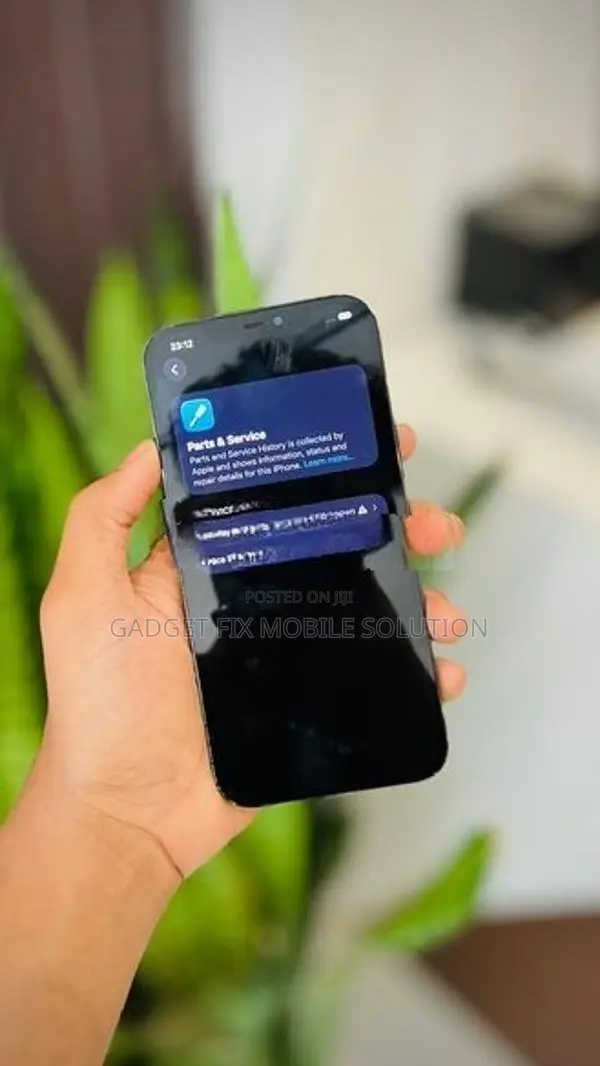 Apple iPhone 12 Pro Max (Used)
