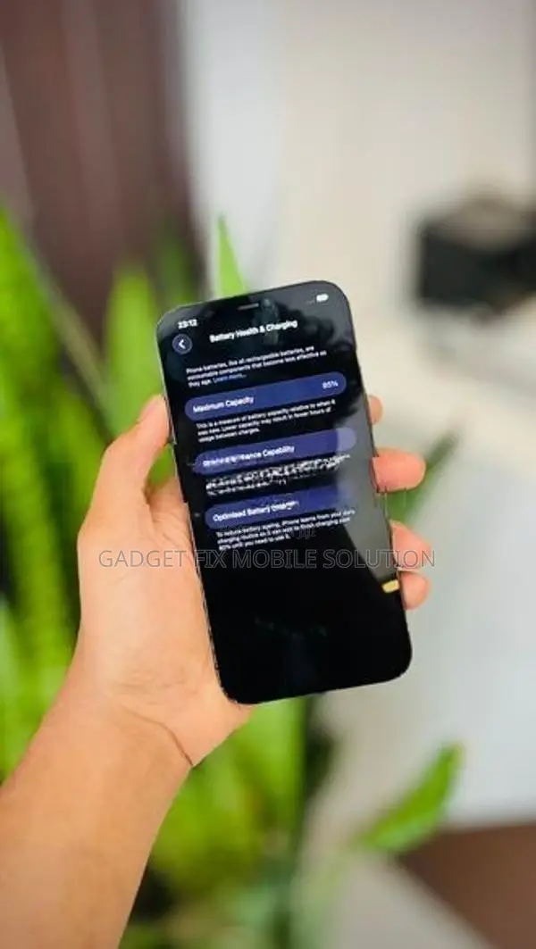 Apple iPhone 12 Pro Max (Used)