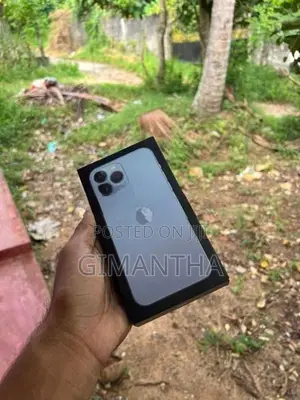 Apple iPhone 13 Pro Max (Used)