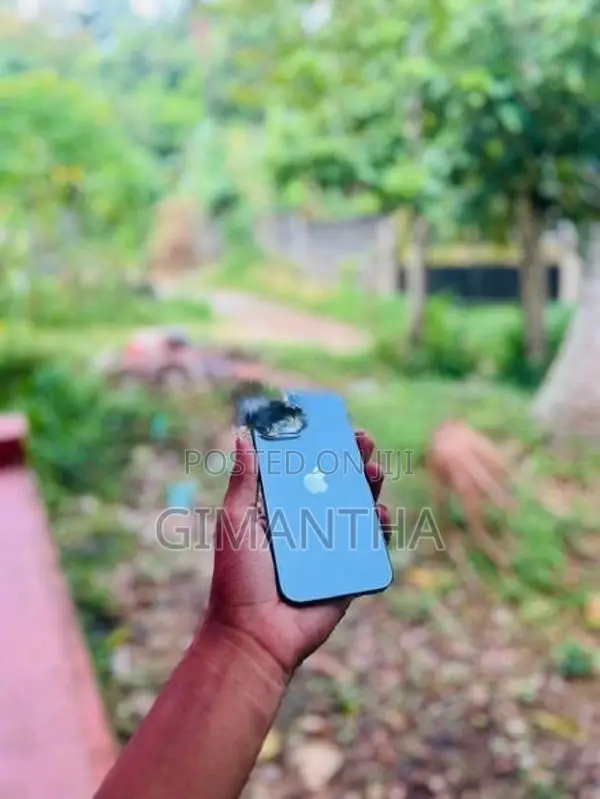 Apple iPhone 13 Pro Max (Used)