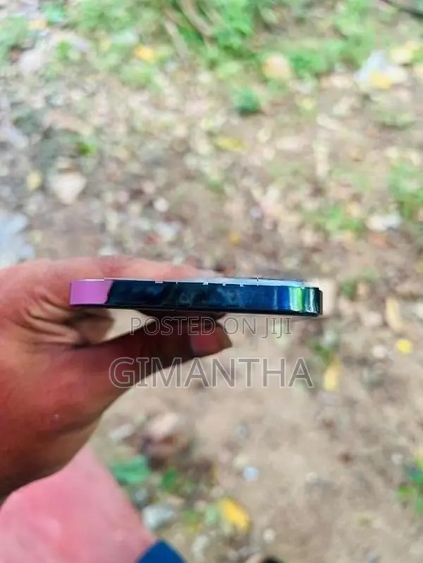 Apple iPhone 13 Pro Max (Used)