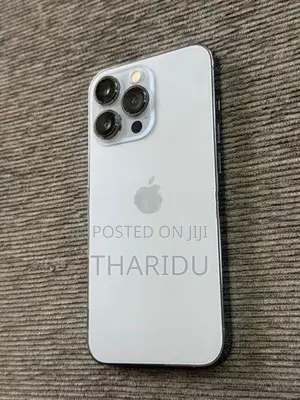 Apple iPhone 13 Pro (Used)