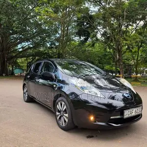 Nissan Leaf Azeo 2013