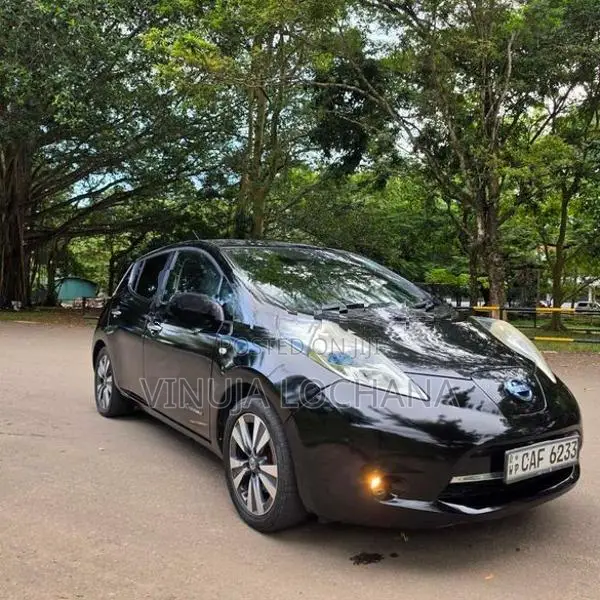 Nissan Leaf Azeo 2013