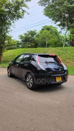 Nissan Leaf Azeo 2013