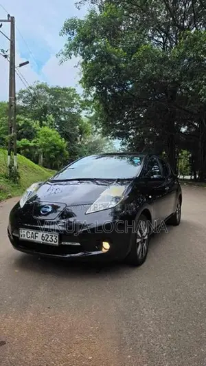 Nissan Leaf Azeo 2013