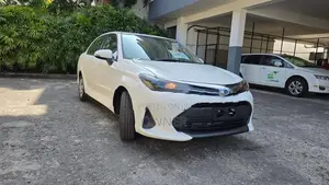 Toyota Axio Hybrid 2025
