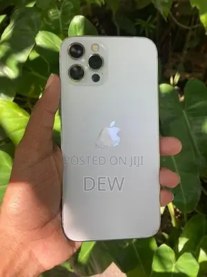 Apple iPhone 12 Pro (Used)