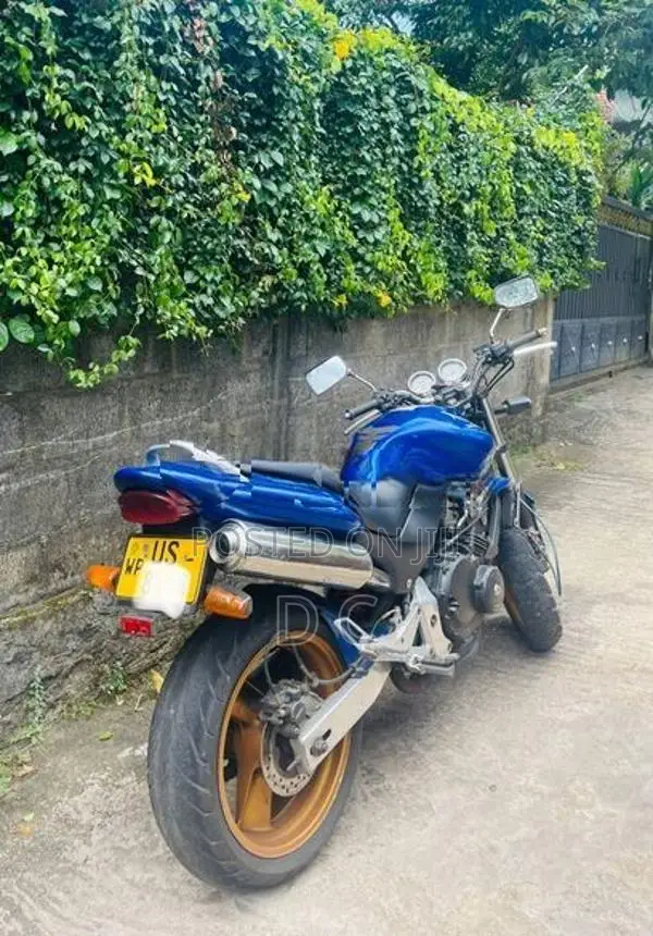 Honda Hornet 2009