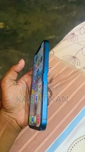 Apple iPhone 12 (Used)