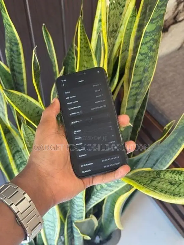 Apple iPhone 11 (Used)
