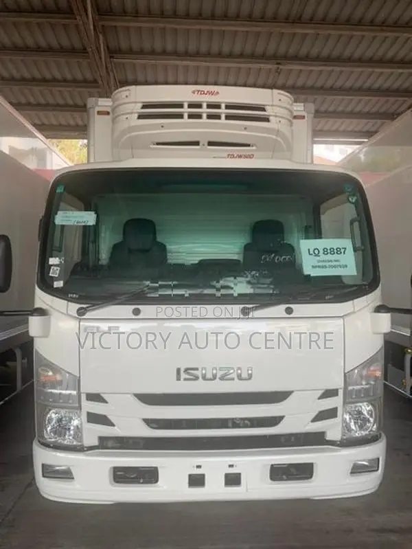 Isuzu Elf freezer truck 2017