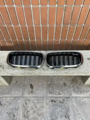 Genuine New BMW X5 X5M M Performance Bumper Kidney Grilles Shell F15 X