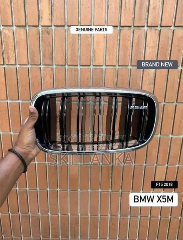 Genuine New BMW X5 X5M M Performance Bumper Kidney Grilles Shell F15 X