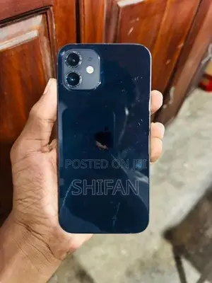 Apple iPhone 12 (Used)