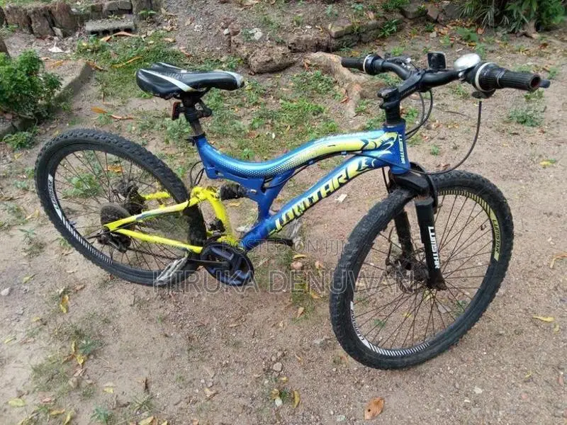Bicycle