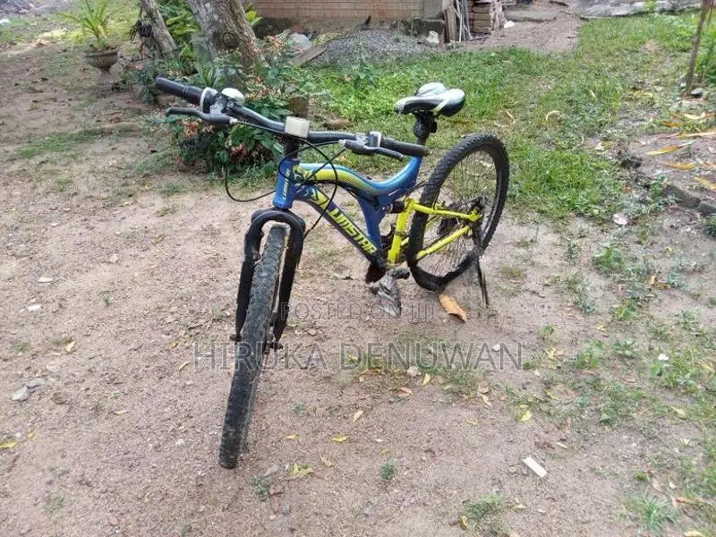 Bicycle
