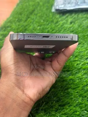 Apple iPhone 12 Pro Max (Used)