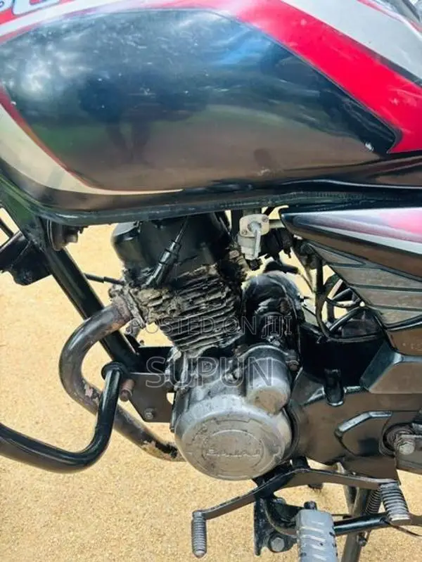 Bajaj Platina 2010