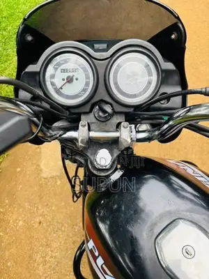 Bajaj Platina 2010