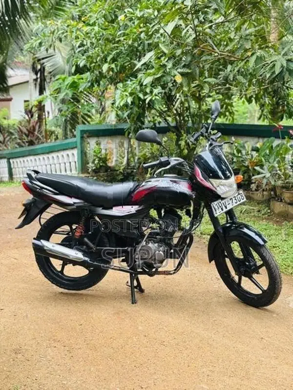 Bajaj Platina 2010