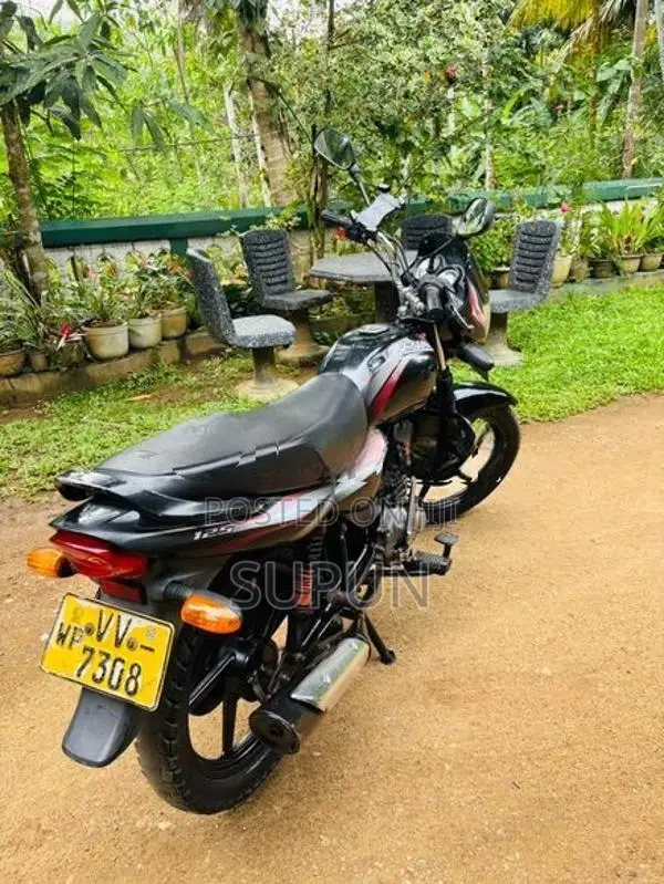 Bajaj Platina 2010