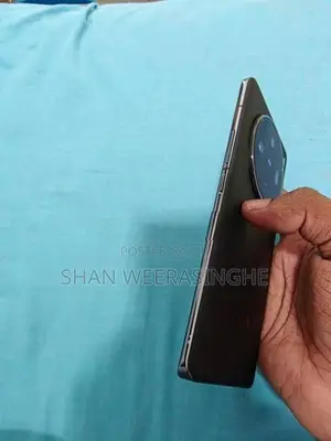 Vivo (Used)