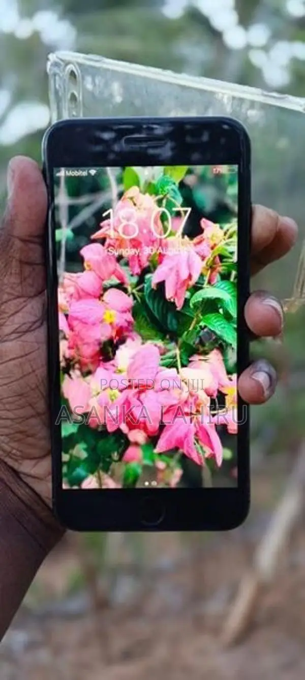 Apple iPhone 7 Plus (Used)
