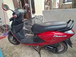Hero Pleasure 2011