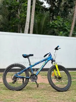 Spartan X Mountain Bike
