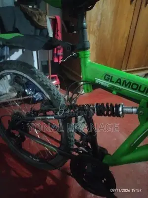 DSI Mountain Bicycle