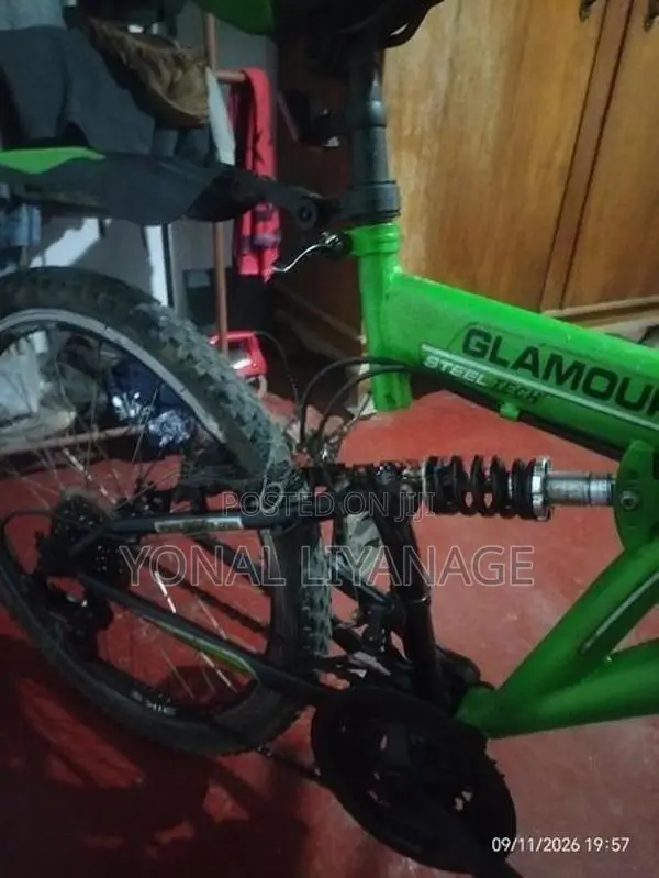 DSI Mountain Bicycle