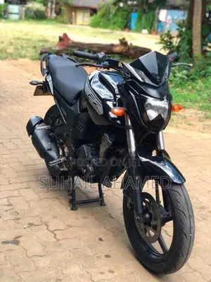 Yamaha FZ S 2015