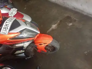 Ranomoto Pattaya 2020