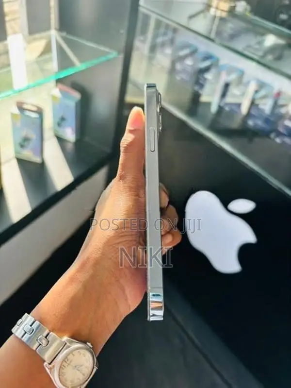Apple iPhone 13 Pro Max (Used)
