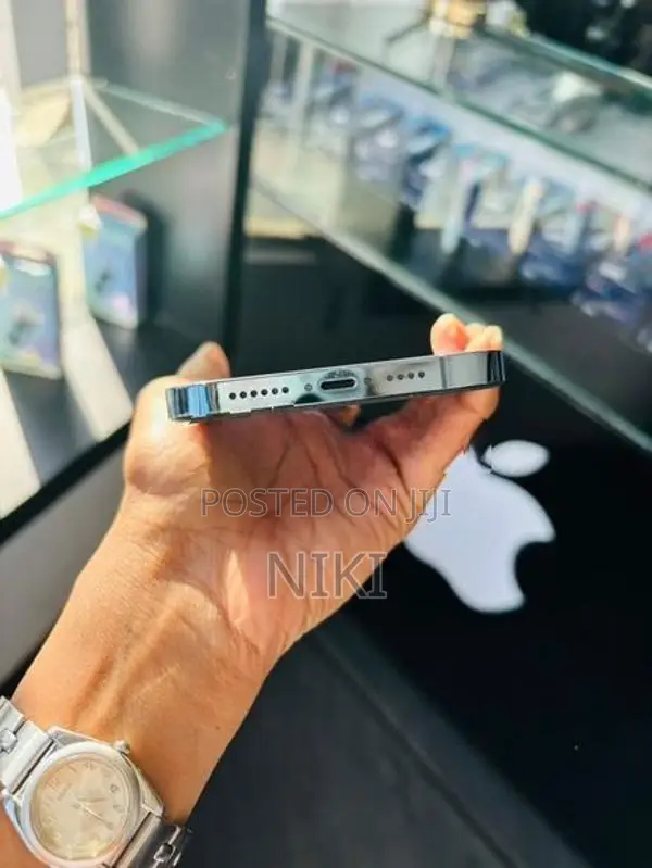 Apple iPhone 13 Pro Max (Used)
