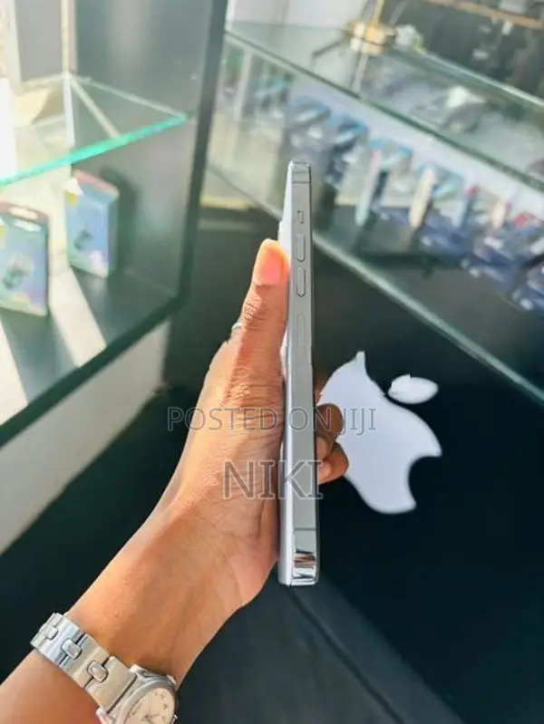 Apple iPhone 13 Pro Max (Used)